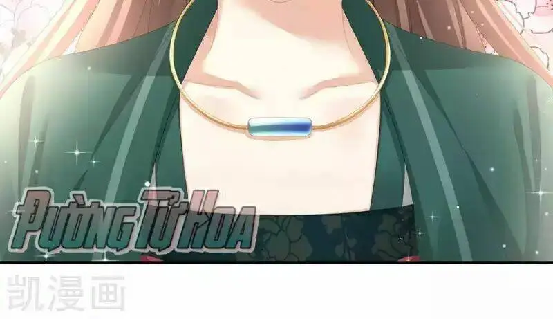 Chapter 74