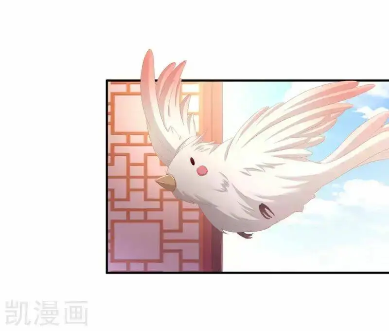 Chapter 74