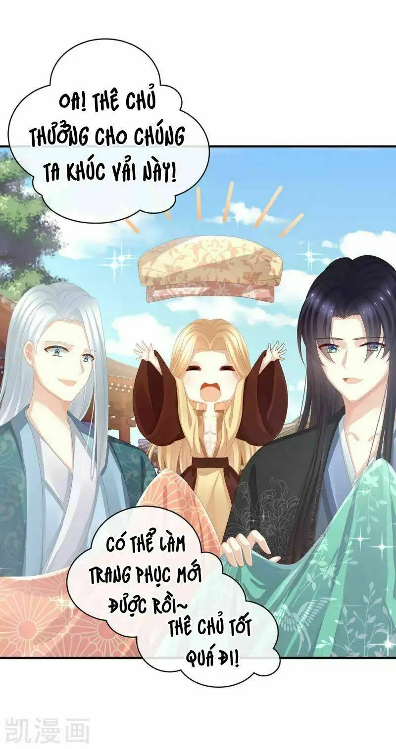 Chapter 73