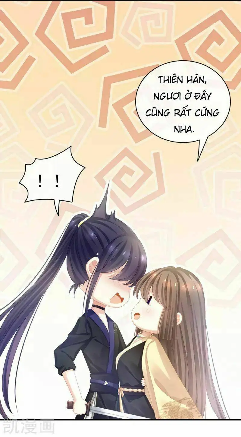 Chapter 61