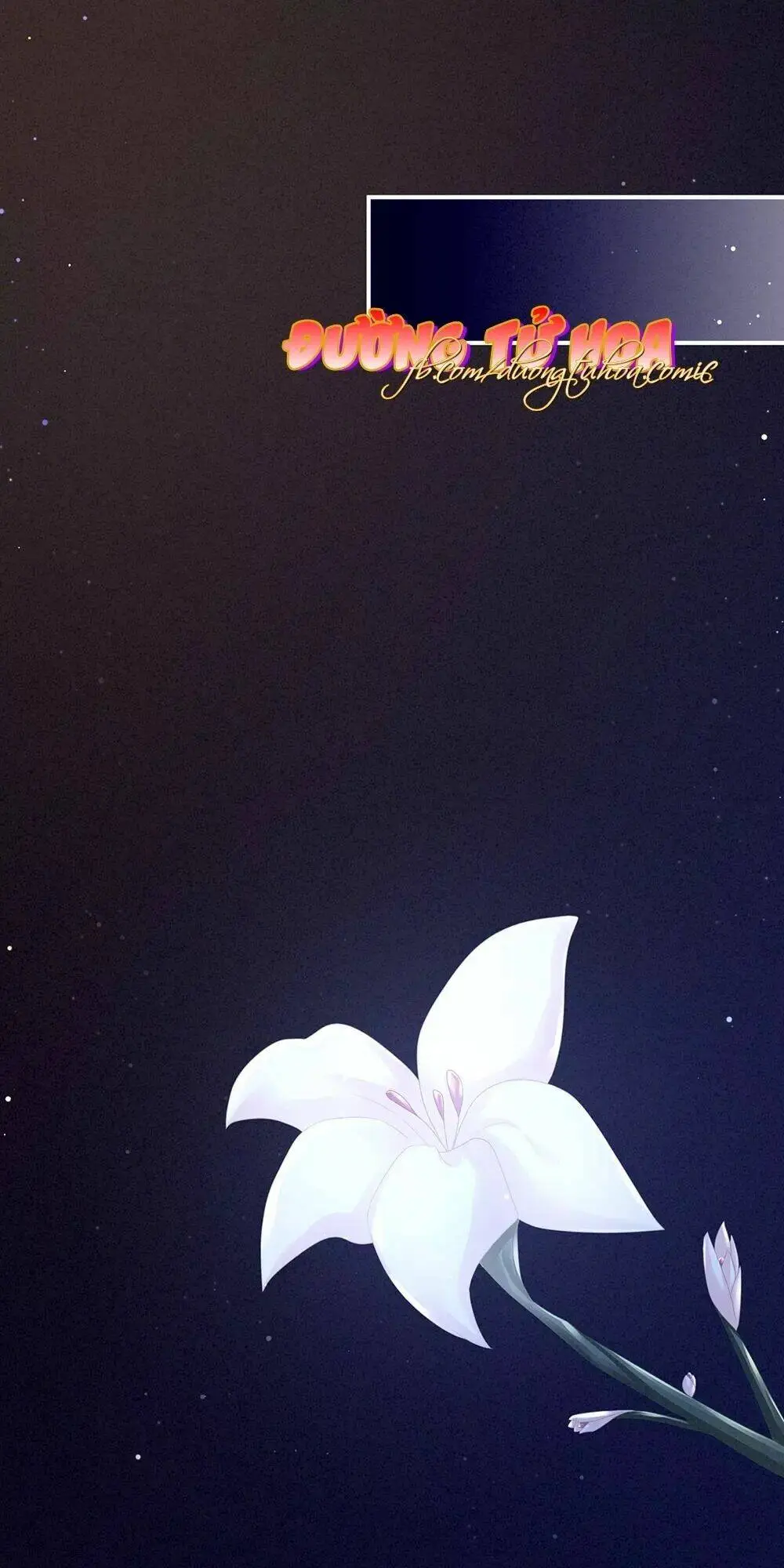 Chapter 56