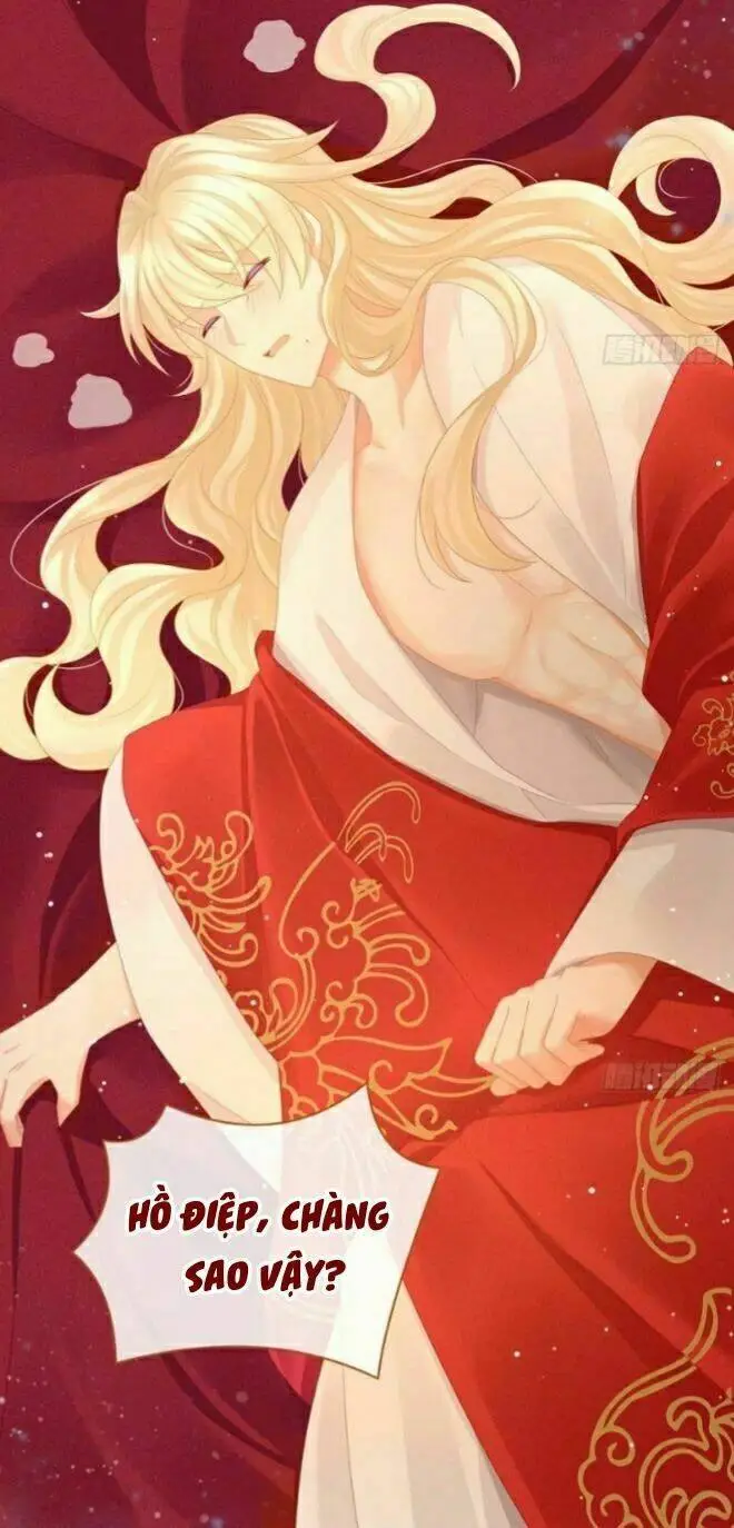 Chapter 55