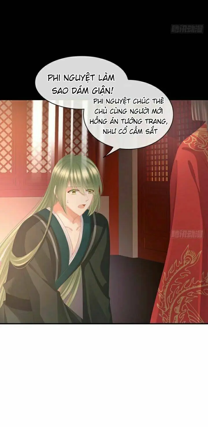 Chapter 52