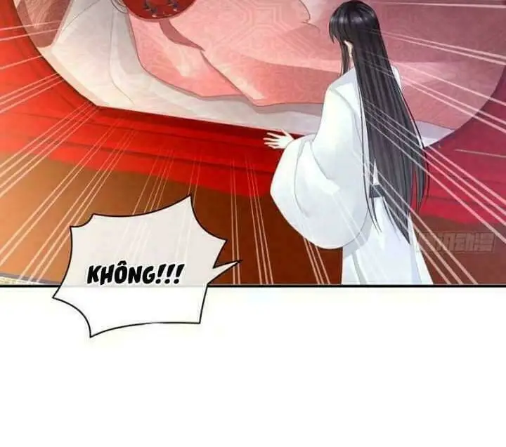 Chapter 50