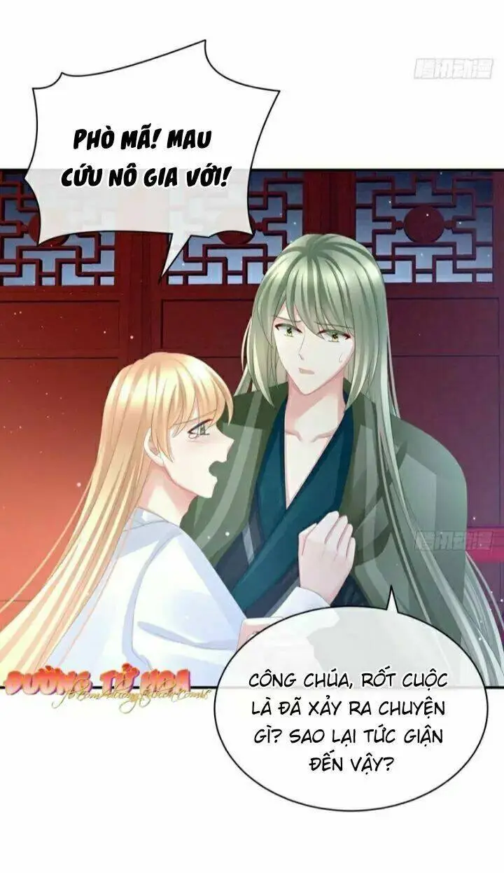 Chapter 48