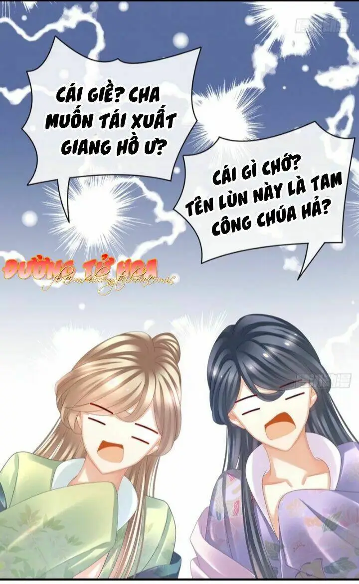 Chapter 40