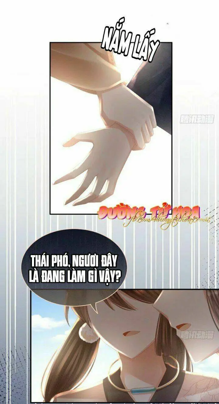 Chapter 33