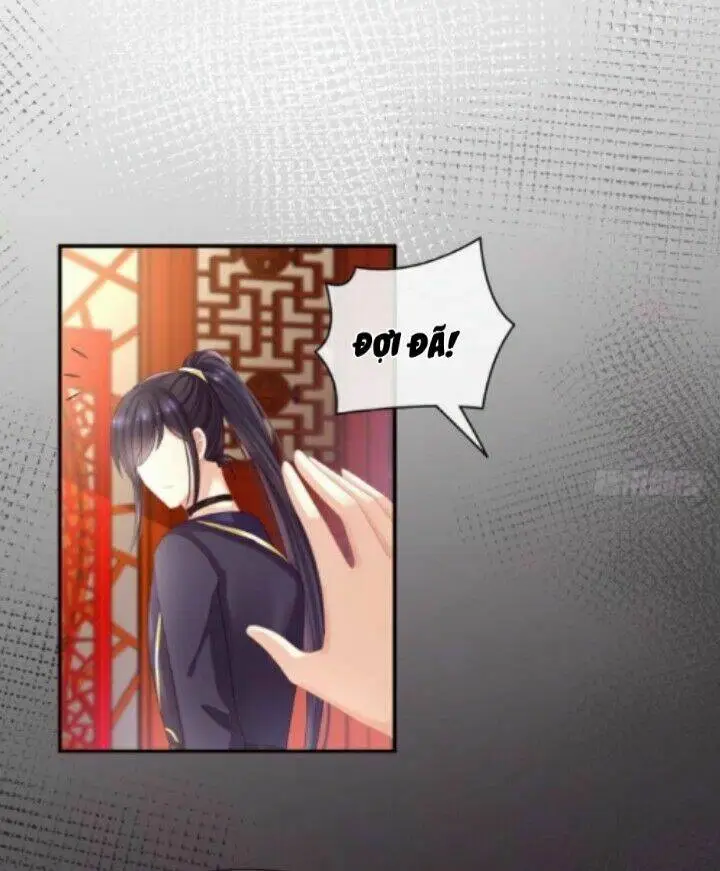 Chapter 31