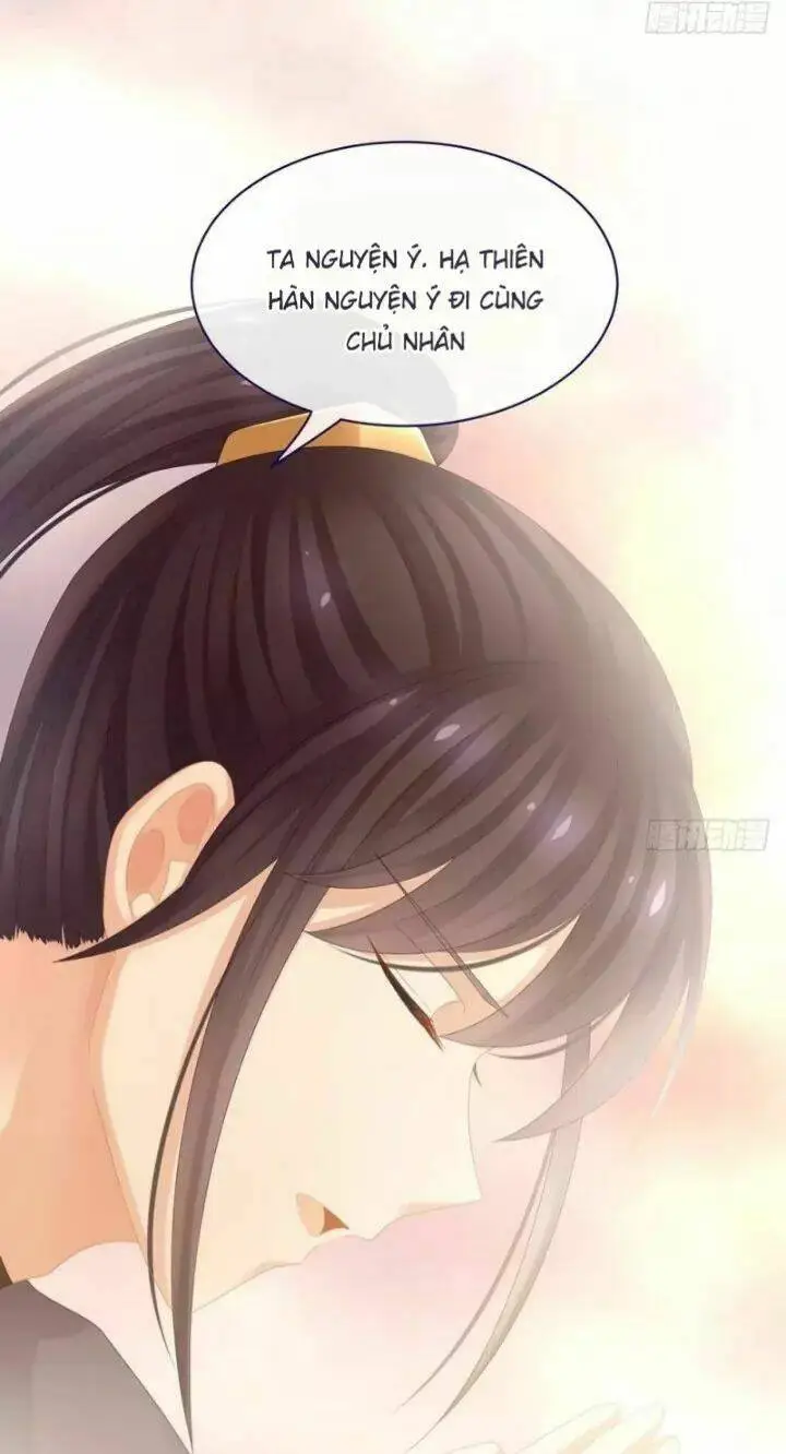Chapter 29