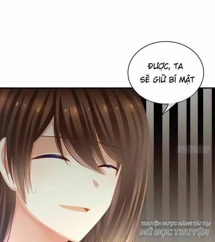 Chapter 28