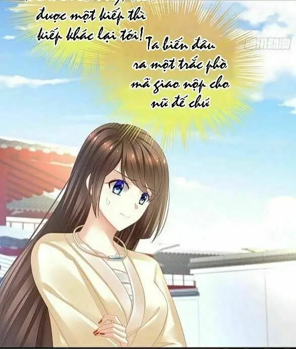 Chapter 28