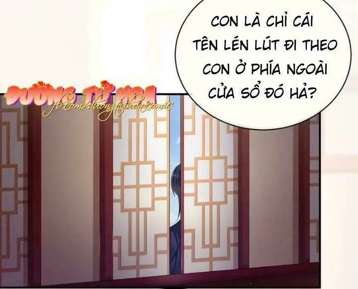 Chapter 27
