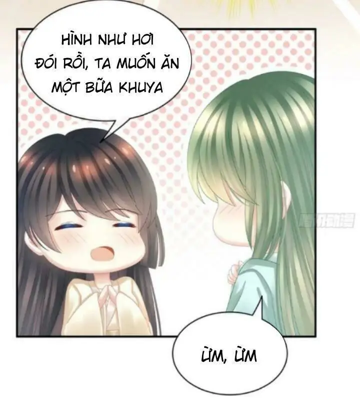 Chapter 25