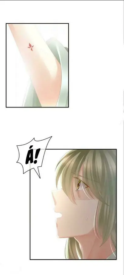 Chapter 20
