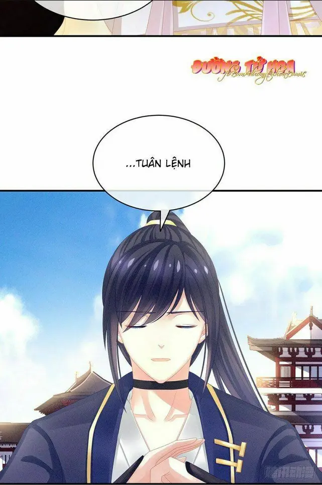Chapter 19