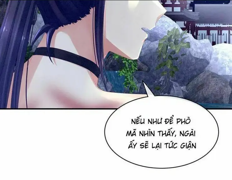 Chapter 17