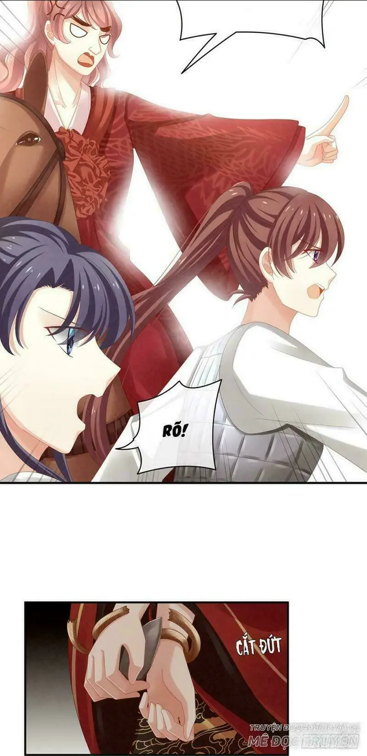 Chapter 12