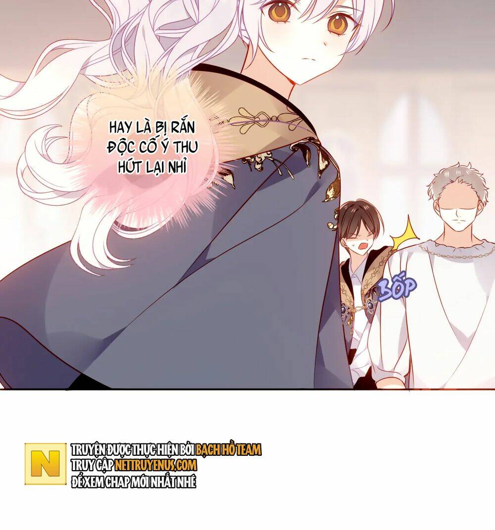 Chapter 55