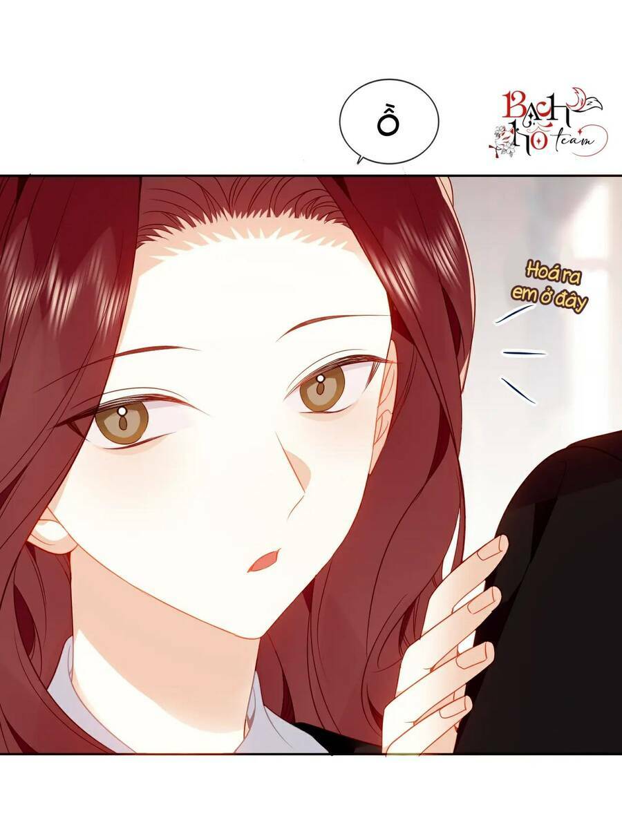 Chapter 48