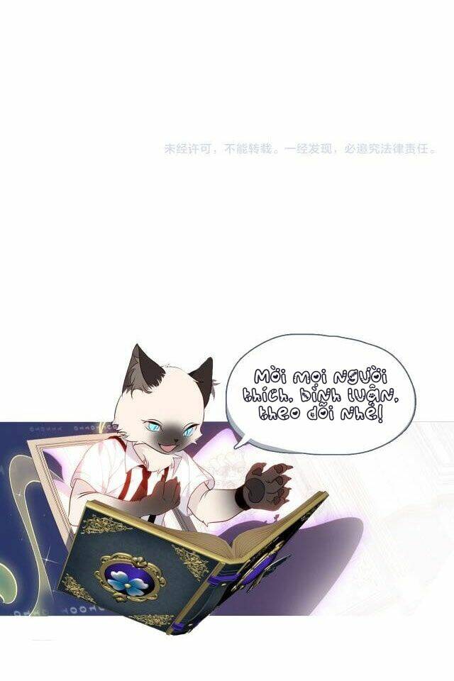 Chapter 46