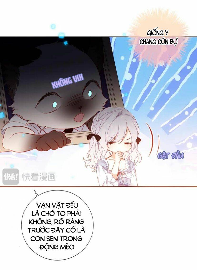 Chapter 43