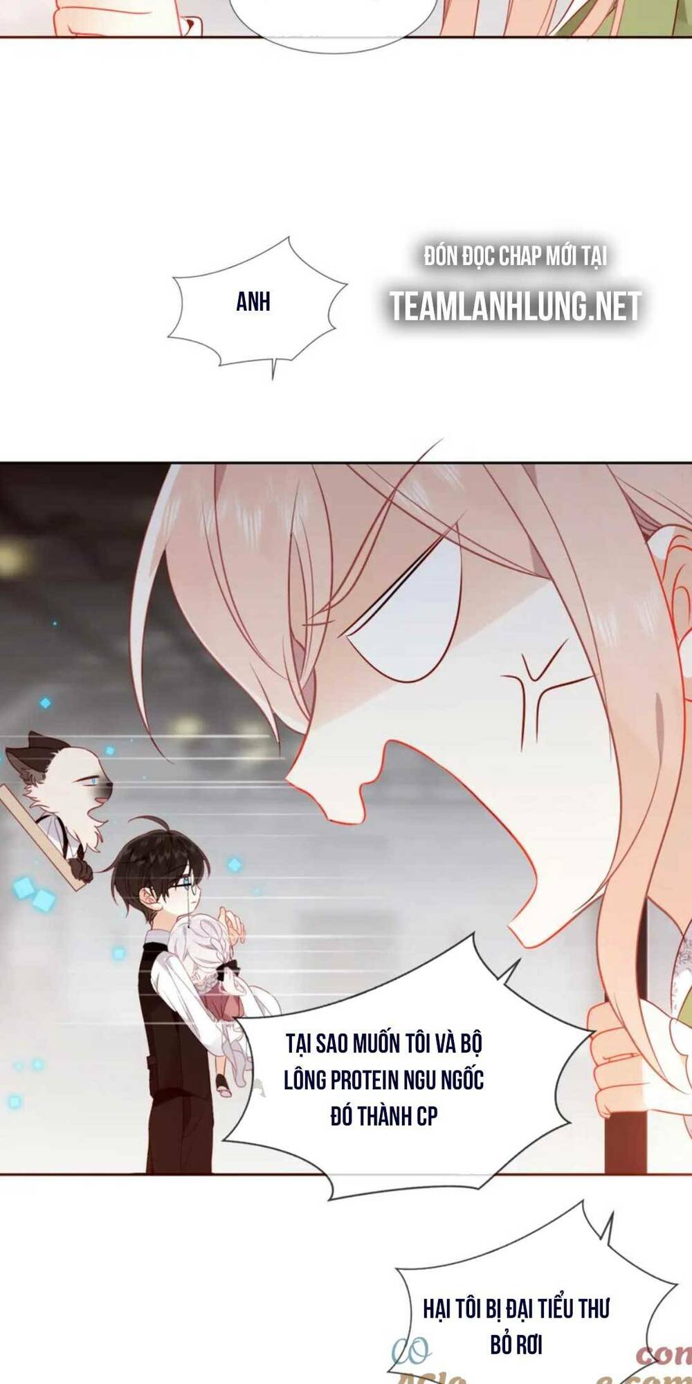 Chapter 41