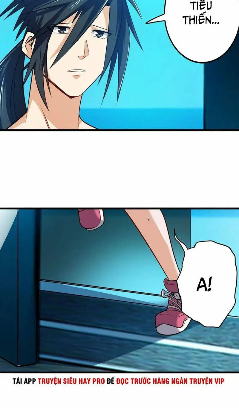 Chapter 230