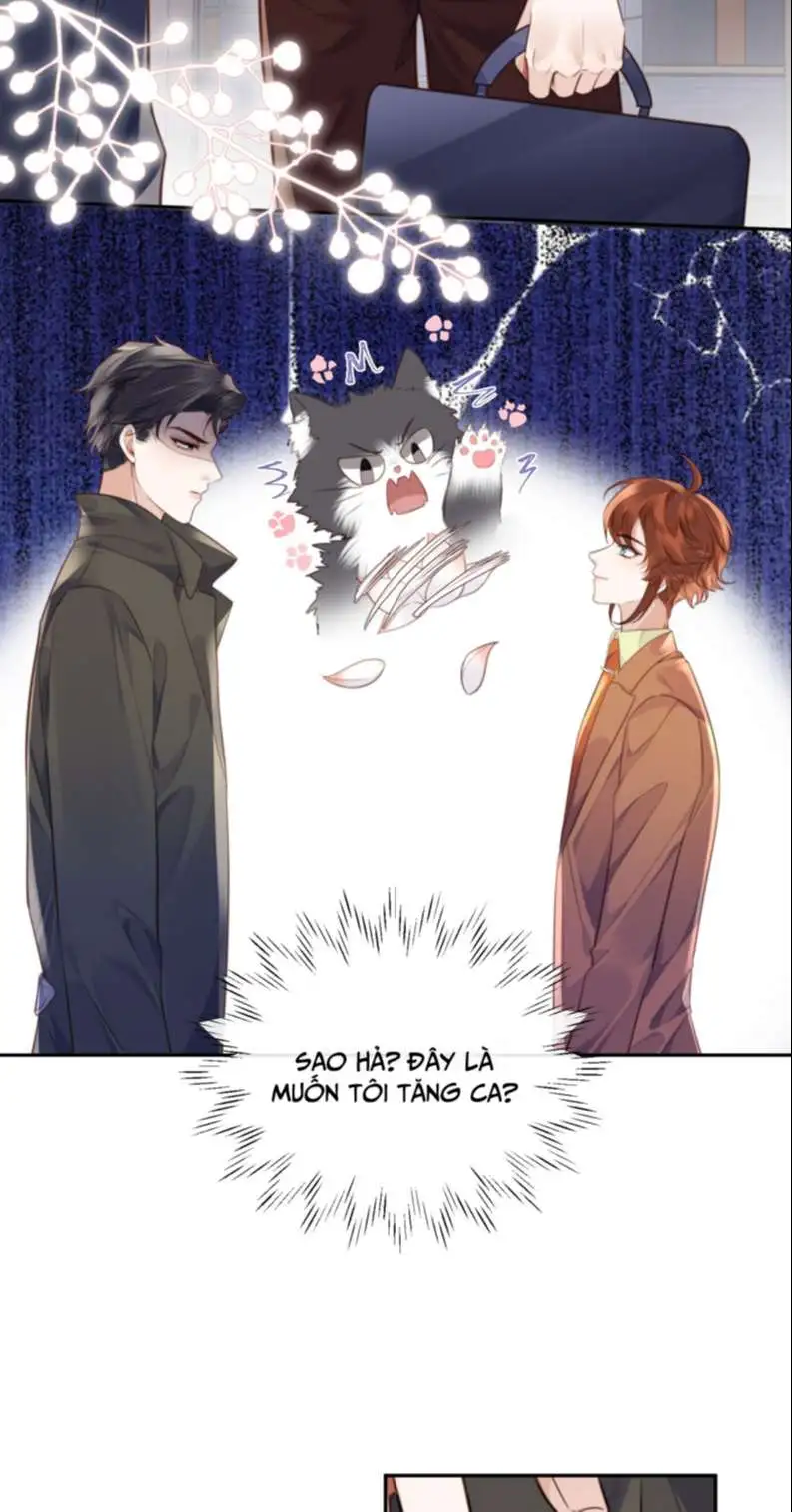 Chapter 51