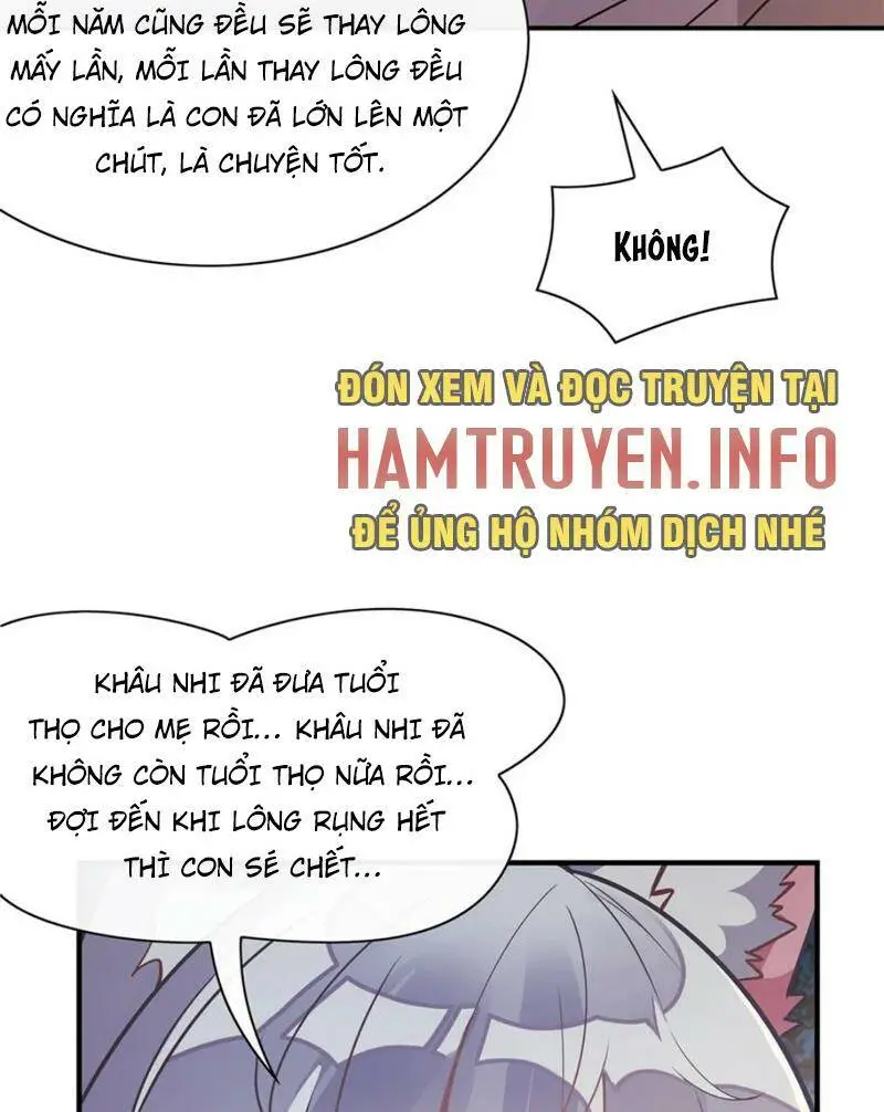 Chapter 181