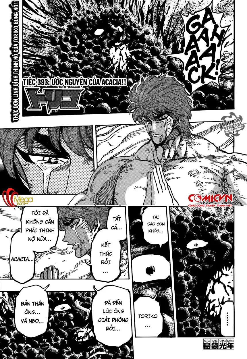 Chapter 393