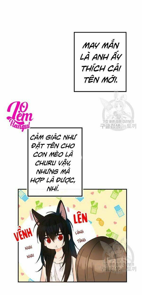 Chapter 72