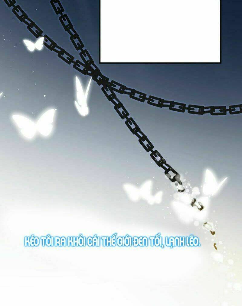 Chapter 204