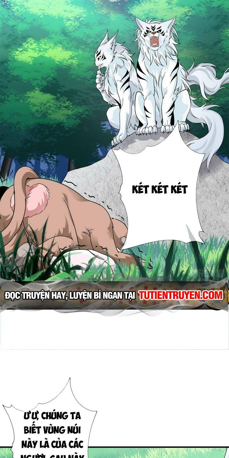 Chapter 197