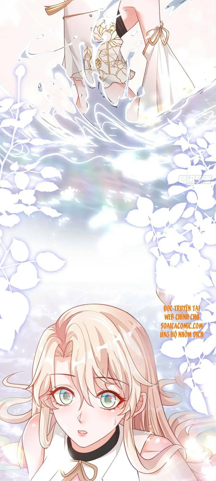 Chapter 49