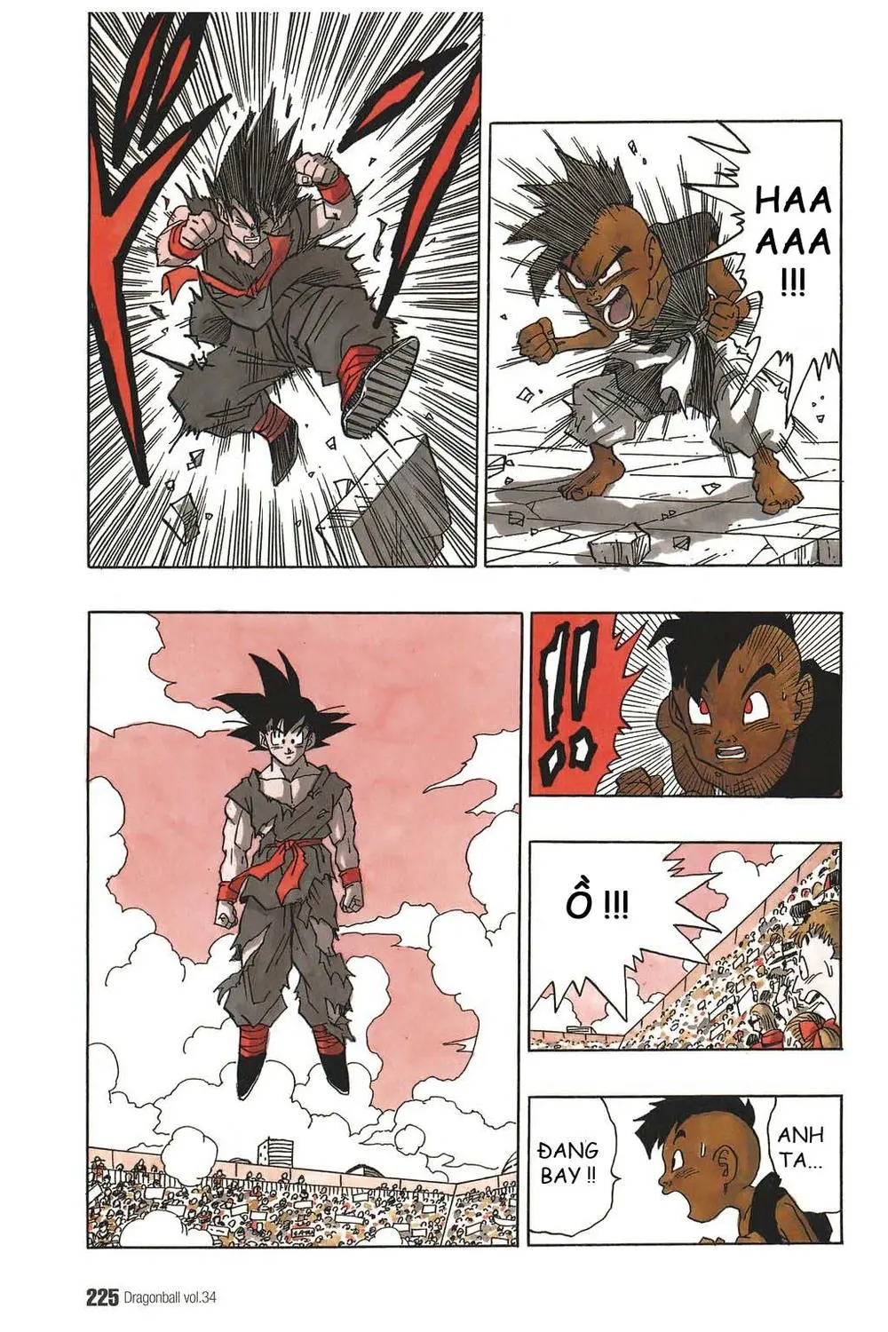 Chapter 519