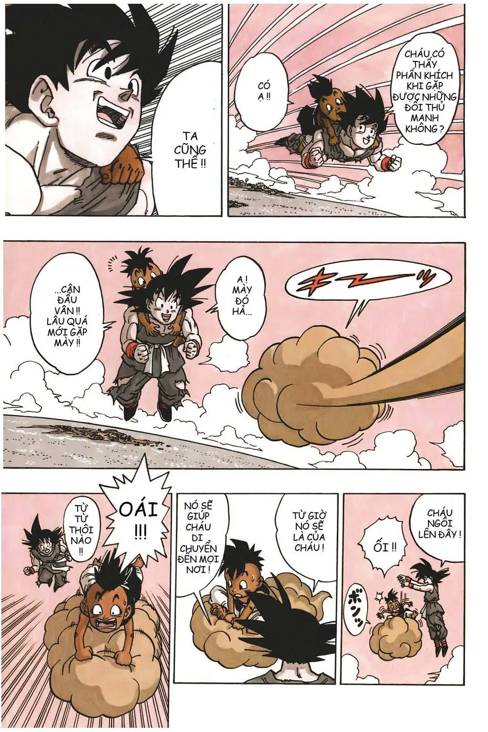 Chapter 519