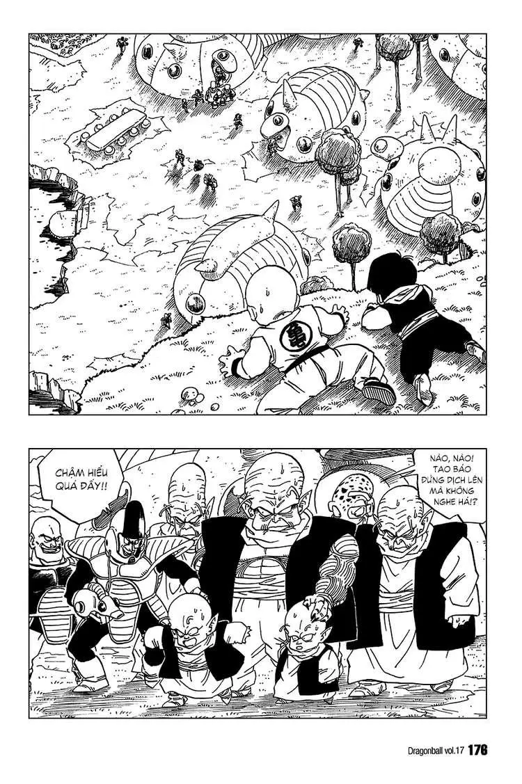 Chapter 252