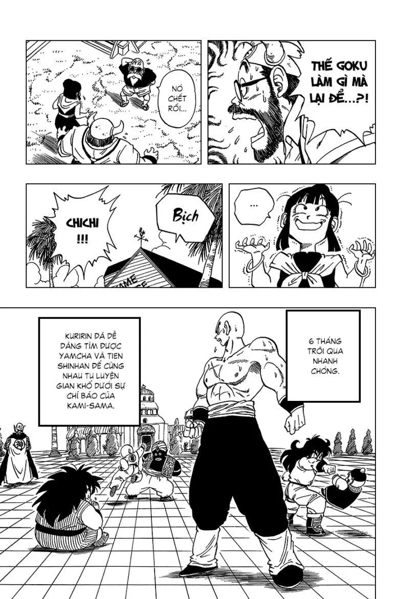 Chapter 209