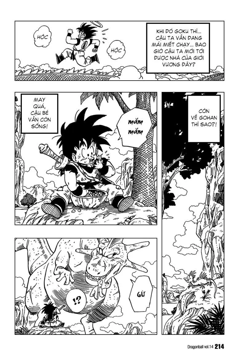 Chapter 209