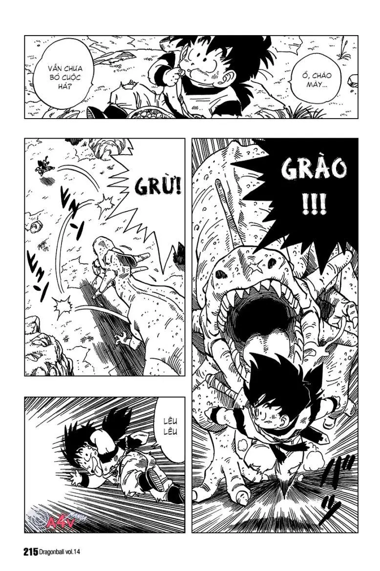 Chapter 209