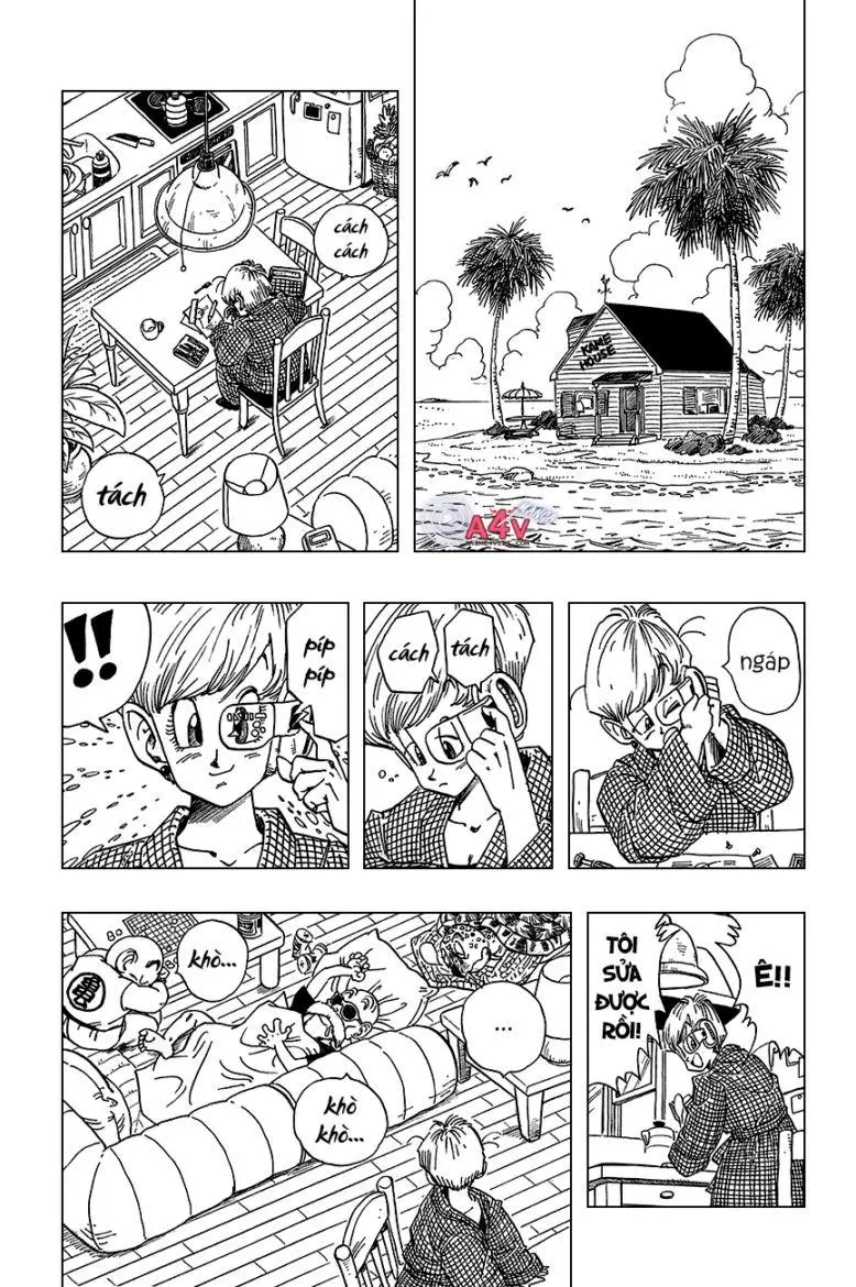 Chapter 209