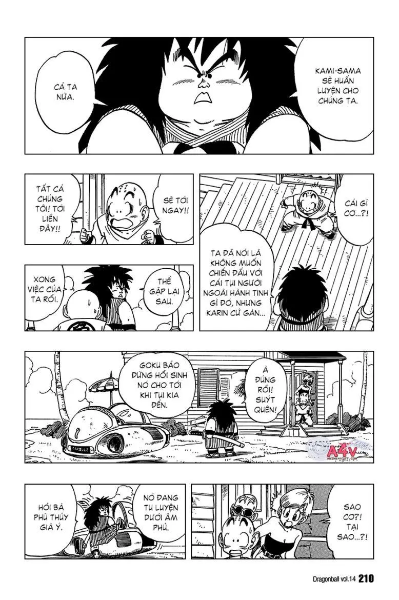 Chapter 209