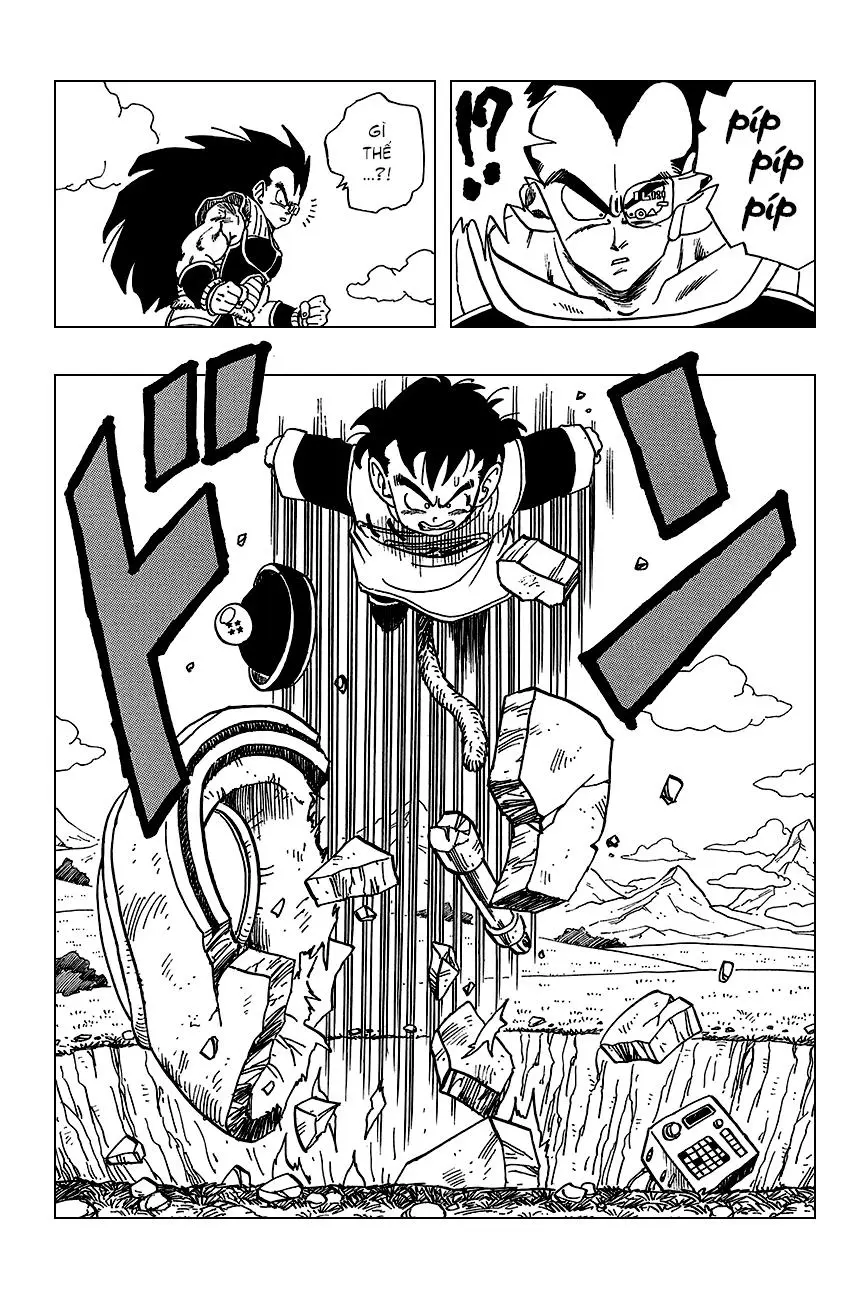 Chapter 202