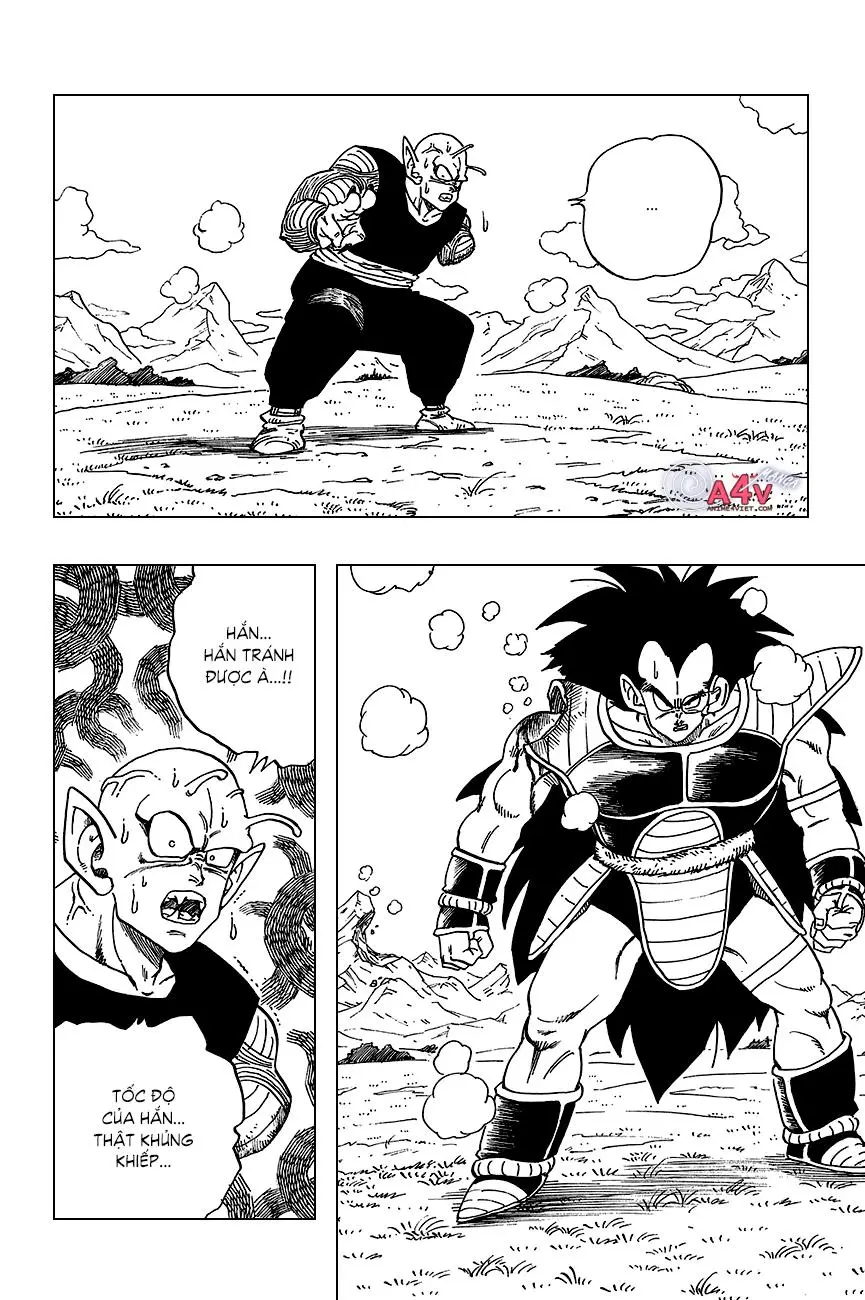 Chapter 202