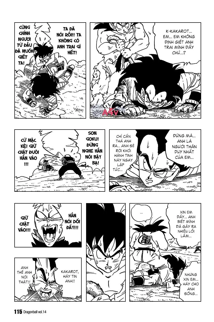 Chapter 202