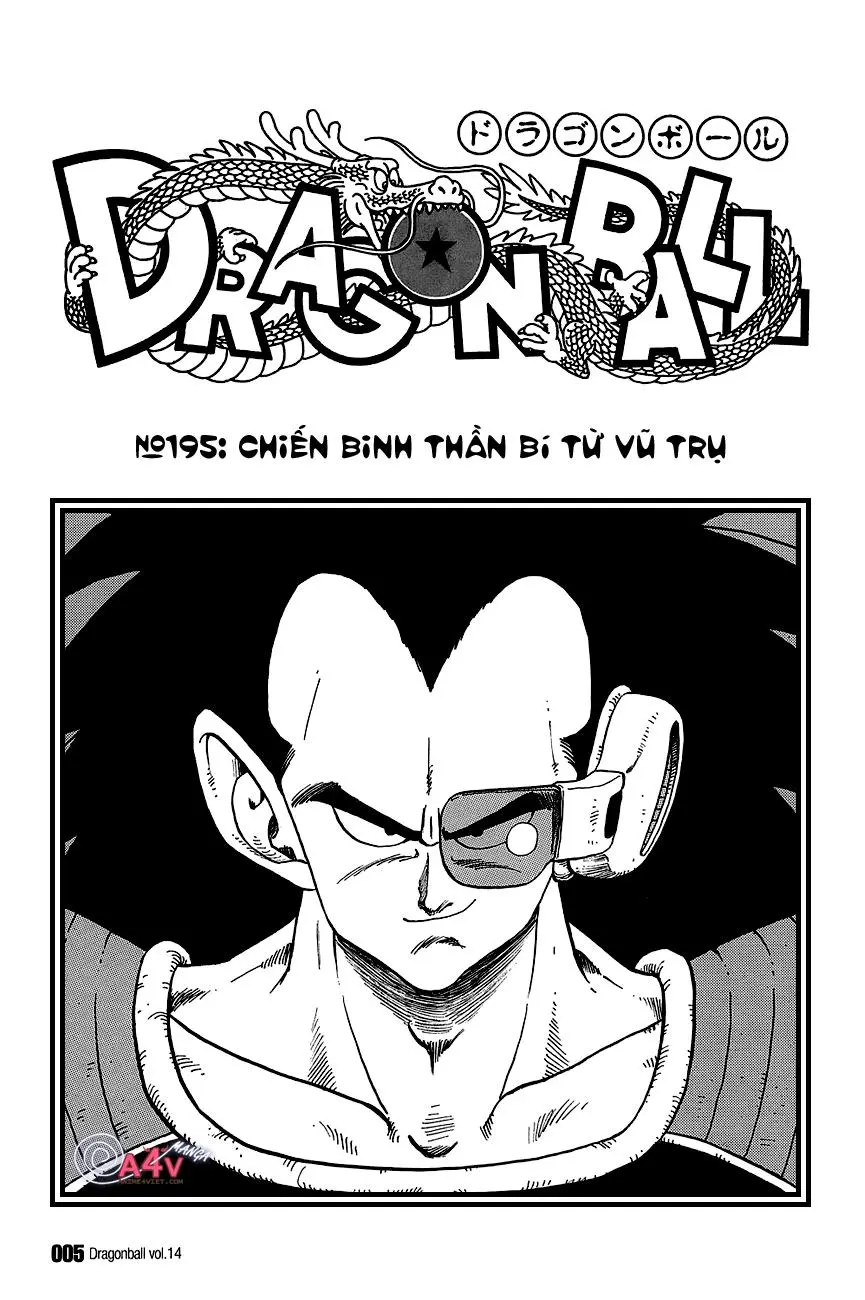 Chapter 195