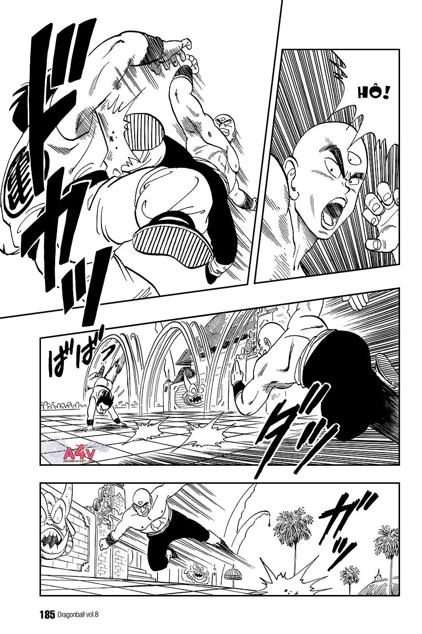 Chapter 117