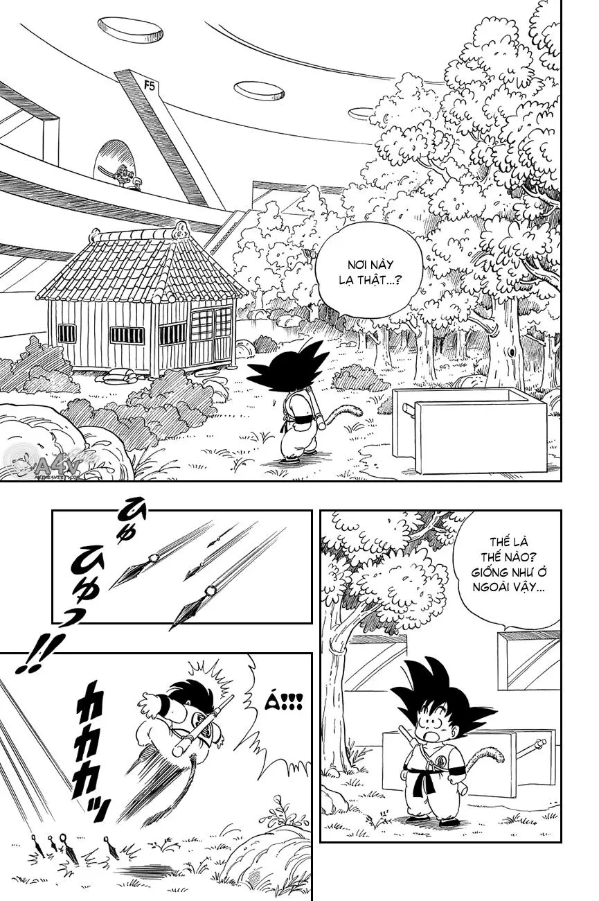 Chapter 60