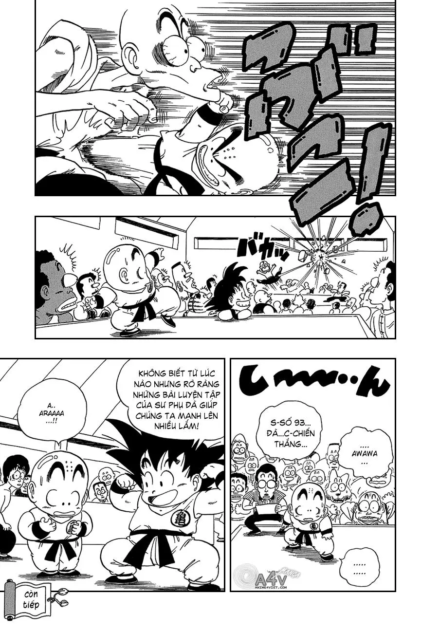 Chapter 33