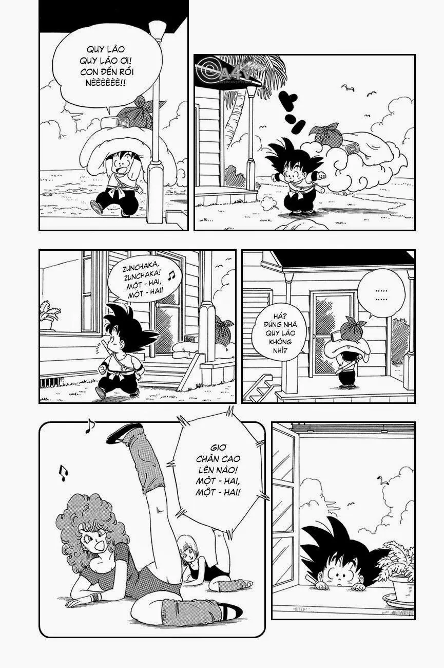 Chapter 24